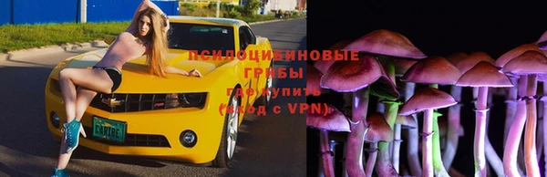 спиды Кулебаки