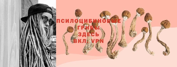 стаф Куйбышев