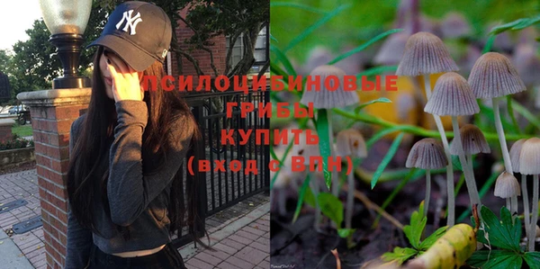 стаф Куйбышев