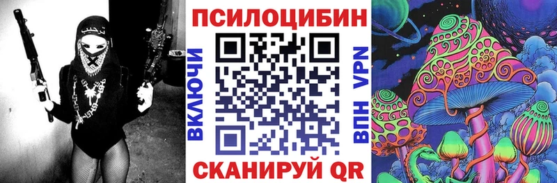 Псилоцибиновые грибы Psilocybe  Купить где  Прокопьевск 
